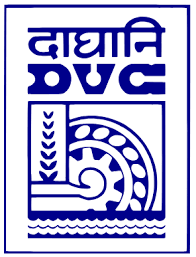DVC-1.png